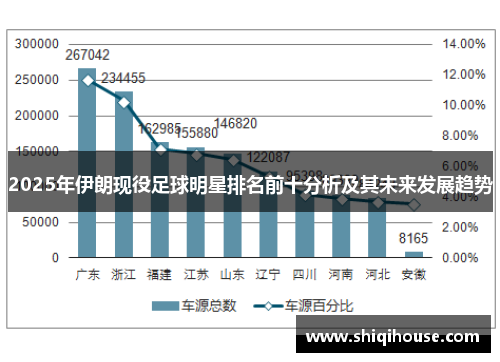 2025年伊朗现役足球明星排名前十分析及其未来发展趋势