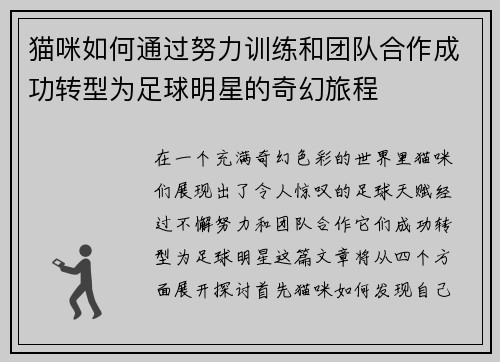 猫咪如何通过努力训练和团队合作成功转型为足球明星的奇幻旅程